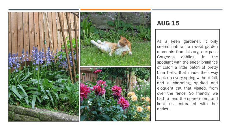 This image has an empty alt attribute; its file name is image-27.png